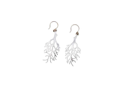 Rhodium Plated | Fashion Earrings